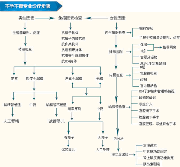 不孕不育诊断流程